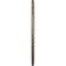 Ekena Millwork Anthony Medallion (Canopies up to 11 5/8"), 29 3/8"OD x 11 5/8"ID x 1 1/8"P, Gobi Desert Crackle CM29ATGDC - alternate 3